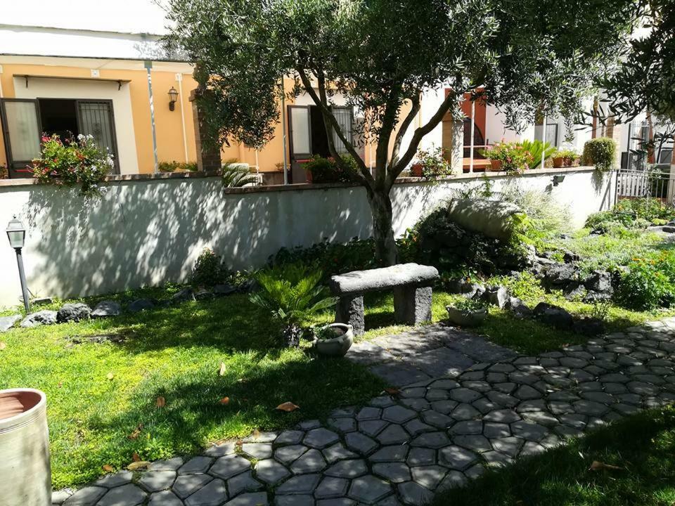 博斯科雷亚莱 Antica Masseria Pellegrini酒店 外观 照片